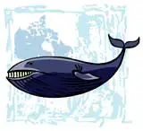 whale dream image, a whale dream.